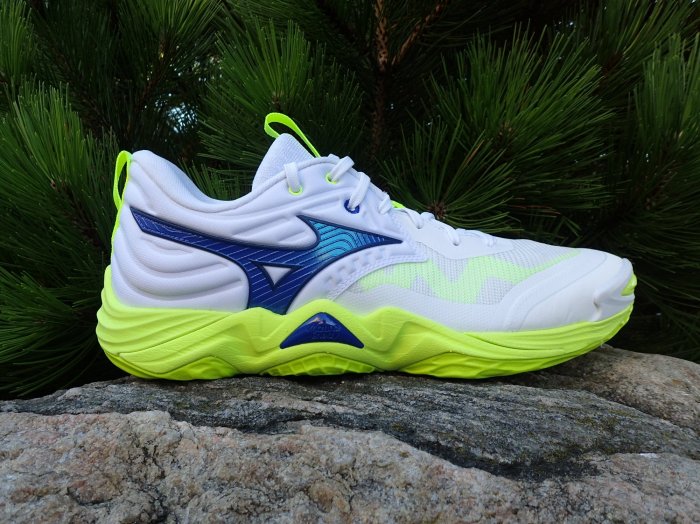 Mizuno Wave Momentum Elite