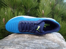 Puma Meteor