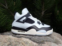 Air Jordan 4 GS Pure Platinum