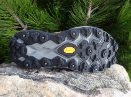 Speedgoat 5 GORE-TEX Spike