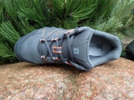 Salomon