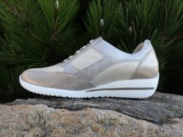 Waldläufer Himona