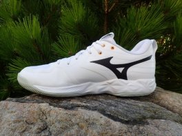 Mizuno Wave Momentum Pro