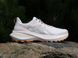 Asics GT-2000 