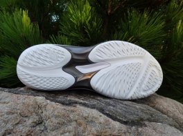 Asics Sky Elite FF 4