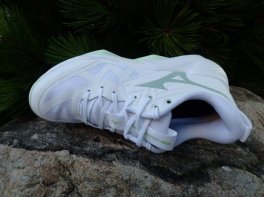 Mizuno Wave Momentum Pro