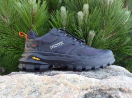Palladium Pallarider LO WP+