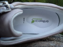 Waldläufer Lili
