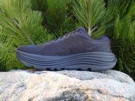 Hoka Gaviota 5