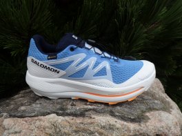 Salomon Pulsar Trail GTX