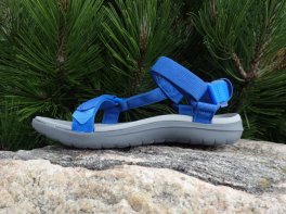 Teva Sanborn Universal