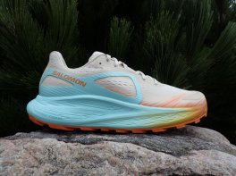 Salomon Glide Max TR