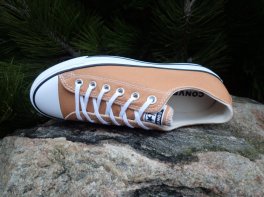 Converse Chuck Taylor All Star Lift Platform