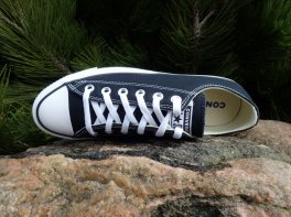 Converse Chuck Taylor All Star Low