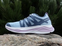 Salomon Glide Max 