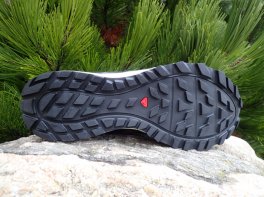 Salomon Wander GTX
