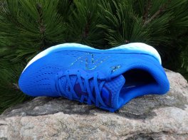 New Balance Fresh Foam EVOZ