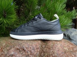 Palladium