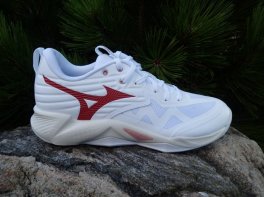 Mizuno Wave Momentum Pro