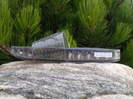 Puma Jelly Slide Wns