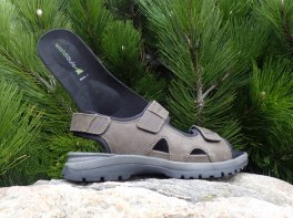 Waldläufer Taro