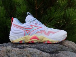 Mizuno Wave Momentum Elite