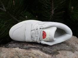 Nike Air Alpha Force 88