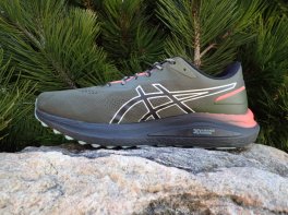 Asics GT-1000 13 Tr