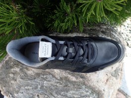 Gant