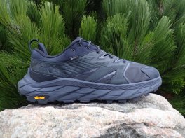 Hoka Anacapa Low GTX