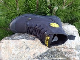 Palladium Pampa Interceptor