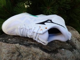 Mizuno Wave Momentum Pro