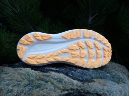 Asics GT-2000 
