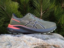 Asics GT-1000 13 Tr