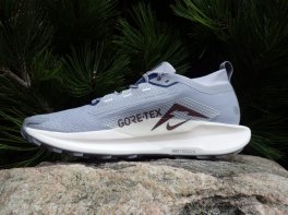 Nike Pegasus Trail 5 GTX