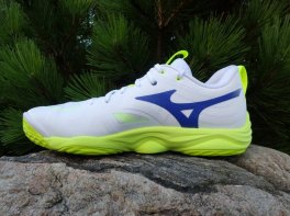 Mizuno Wave Momentum Elite