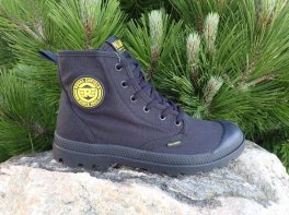 Palladium Pampa Interceptor