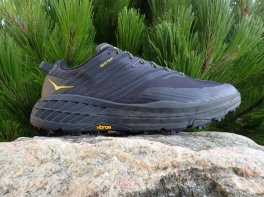 Hoka Speedgoat 4 GTX