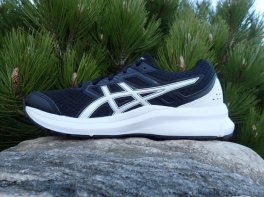 Asics Jolt 3