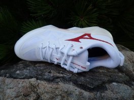 Mizuno Wave Momentum Pro