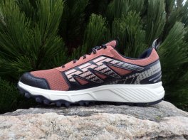 Salomon Wander GTX