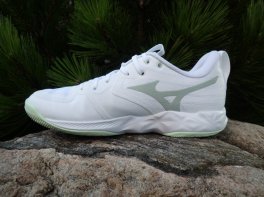 Mizuno Wave Momentum Pro