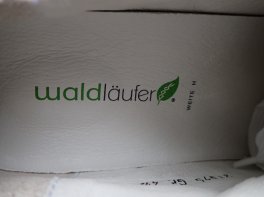 Waldläufer Tamira
