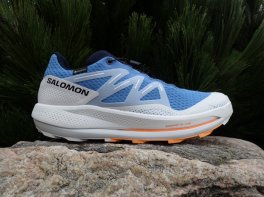 Salomon Pulsar Trail GTX