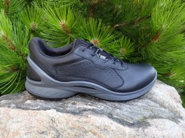 Ecco Biom Energi