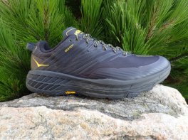 Hoka Speedgoat 4 GTX