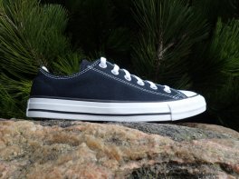 Converse Chuck Taylor All Star Low