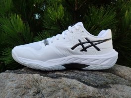 Asics Sky Elite FF 4