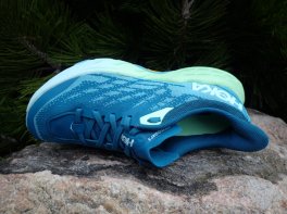 Hoka speedgoat 5