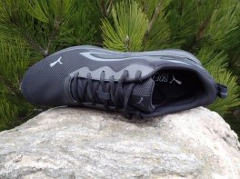 Puma Active
